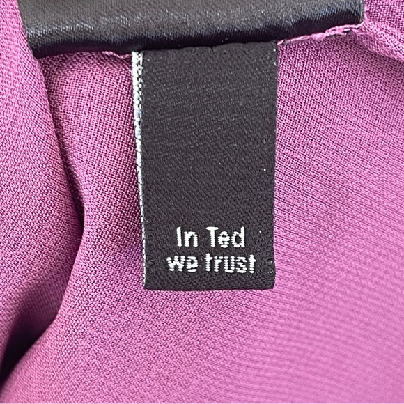 Ted Baker London Silk Crepe Flowy Elegant Formal Dress Size 2 - Picture 13 of 14